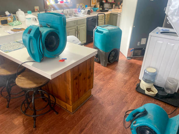 Best Sewage cleanup and water damage restoration  in Douglass Hills, KY