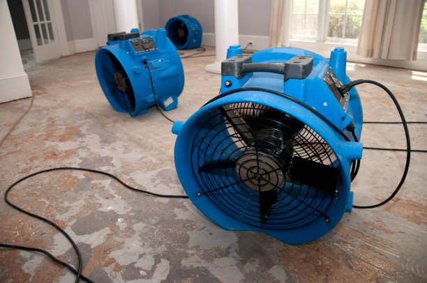 Best Commercial water damage restoration  in Douglass Hills, KY
