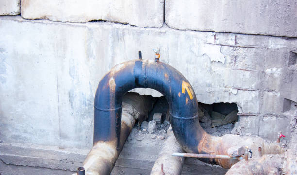 Best Water damage cleanup near me  in Douglass Hills, KY