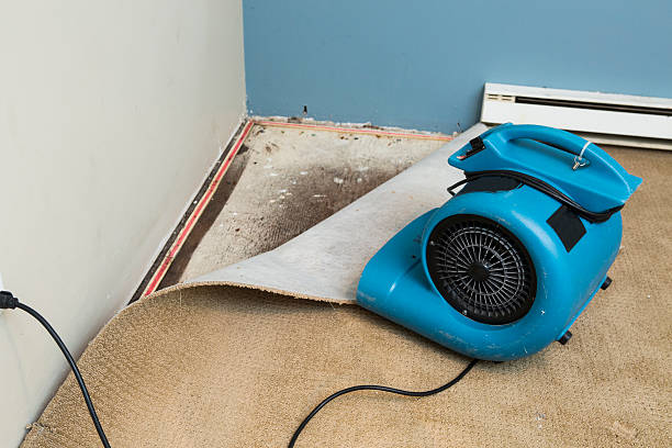 Best Carpet water damage restoration  in Douglass Hills, KY